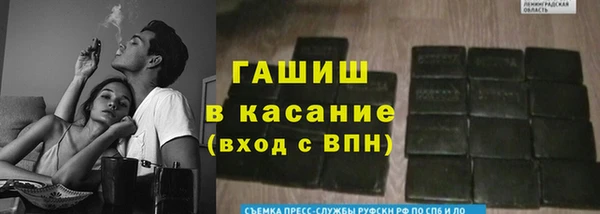 стаф Абаза