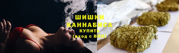 стаф Абаза