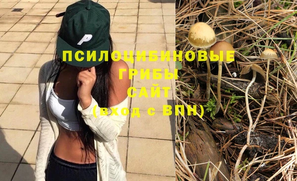СК Абдулино