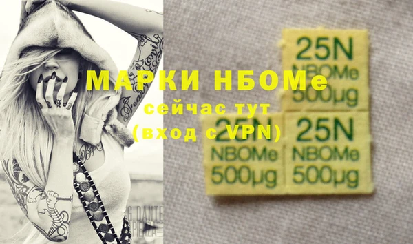 прущие грибы Гусев