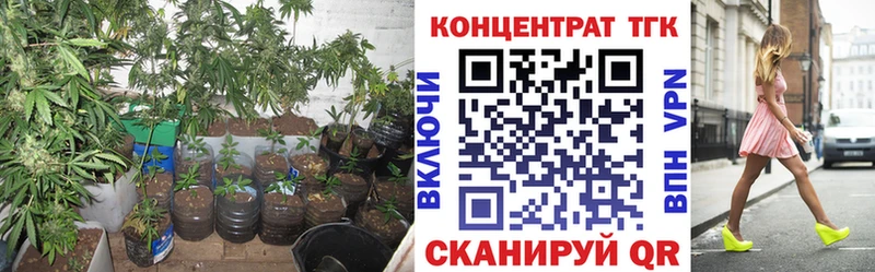 закладка  Кизляр  ТГК вейп 
