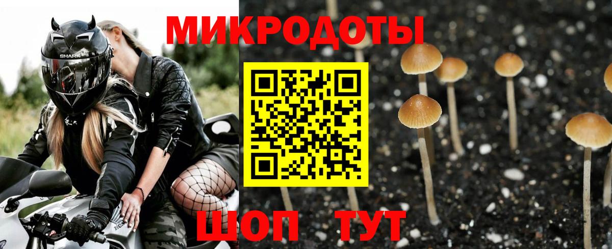 цена наркотик  Галлюциногенные грибы Psilocybe  Кизляр  Вход с VPN  Галлюциногенные грибы Psilocybe 