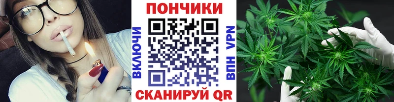 как найти закладки  Кизляр  Марихуана сатива 