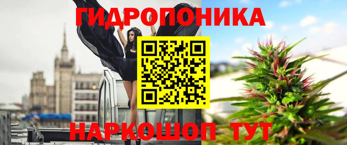 Конопля ГИДРОПОН Кизляр